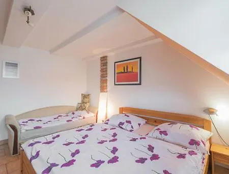 U Hajku Guest house *